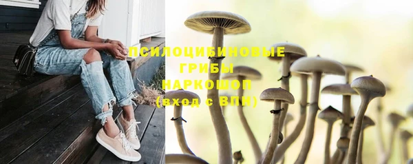 а пвп мука Беломорск