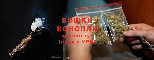 молекула духа Протвино