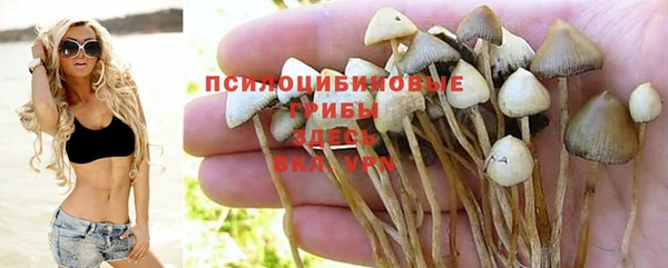 амфетамин Белокуриха