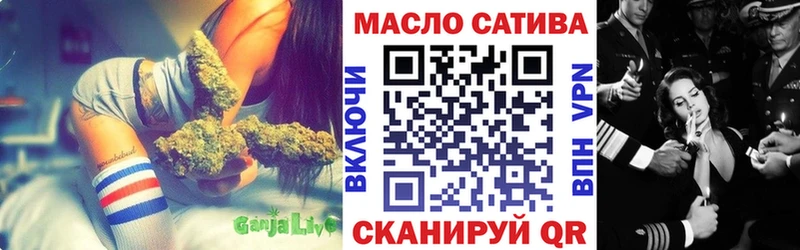 mega как зайти  закладки  Кыштым  ТГК гашишное масло 