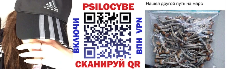 Галлюциногенные грибы MAGIC MUSHROOMS  как найти закладки  дарк нет официальный сайт  Кыштым 